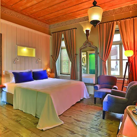 فندق مبيت وإفطار 1850 Kemalpasa 2*