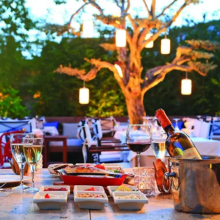 1850 Kemalpasa فندق مبيت وإفطار ألاتشاتي